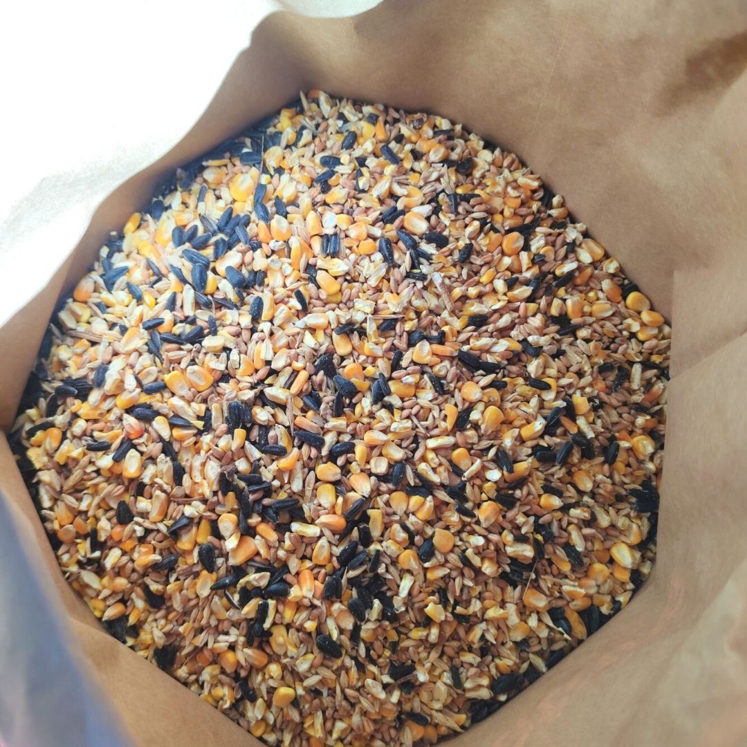 AVINATURA MIX. Mezcla de cereales para aves. 20kg. - Imagen 3