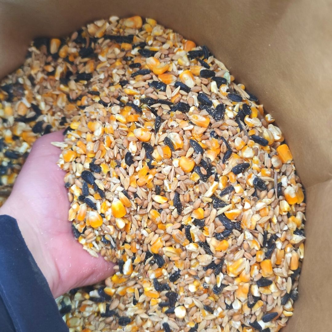 AVINATURA MIX. Mezcla de cereales para aves. 20kg. - Imagen 2