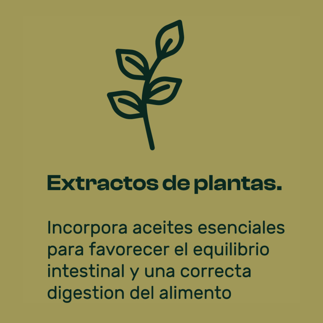 AVINATURA MIX. Mezcla de cereales para aves. 20kg. - Imagen 6