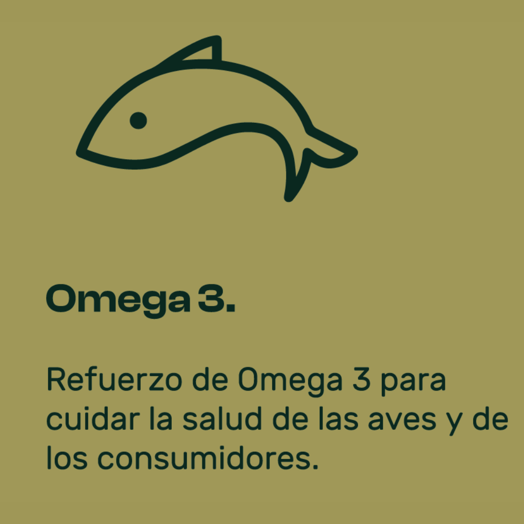 AVINATURA MIX. Mezcla de cereales para aves. 20kg. - Imagen 7