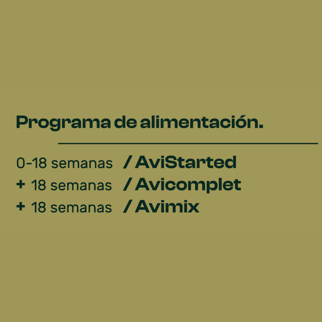 AVINATURA MIX. Mezcla de cereales para aves. 20kg. - Imagen 4